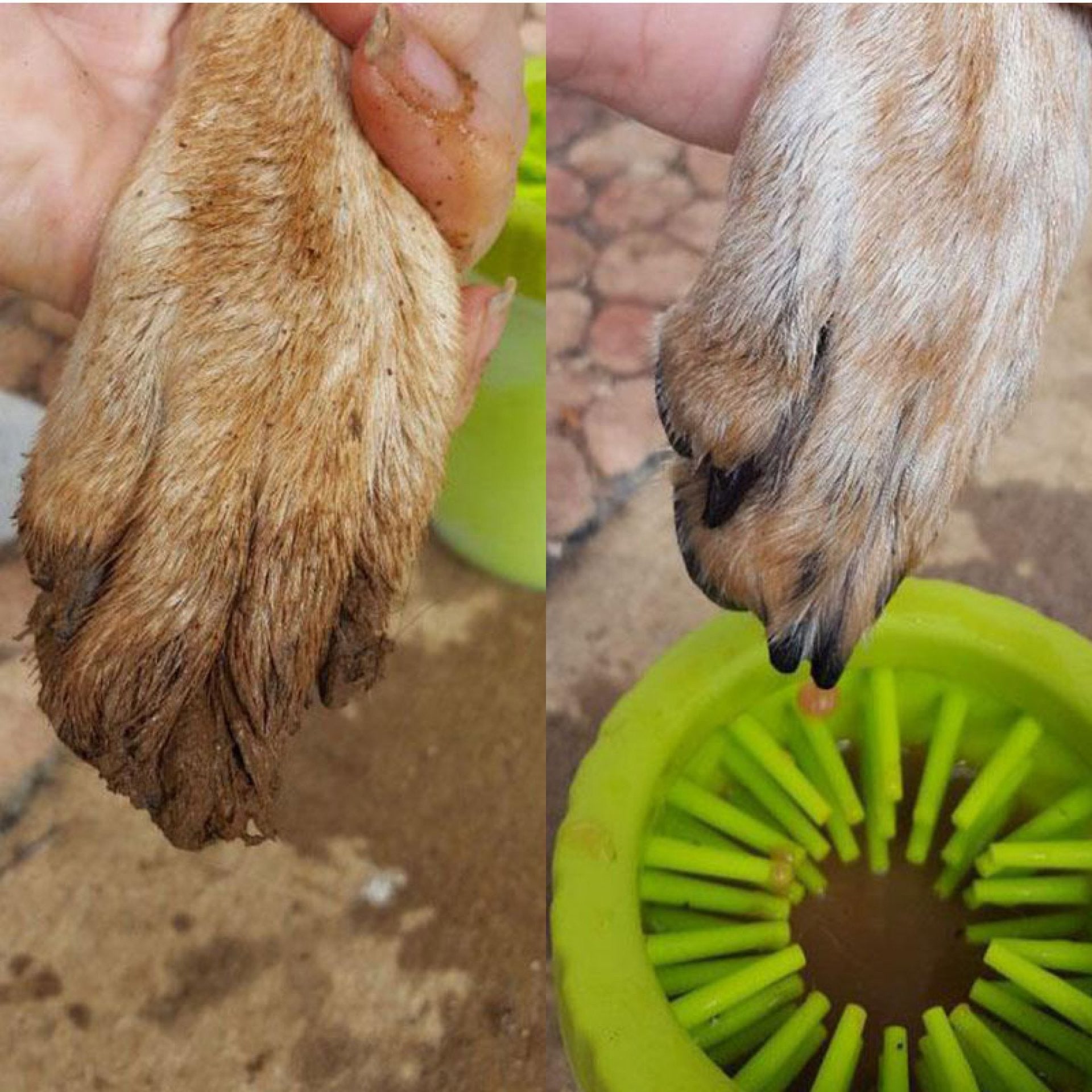 Hundepfotenreiniger für große und kleine Rassen 🐾